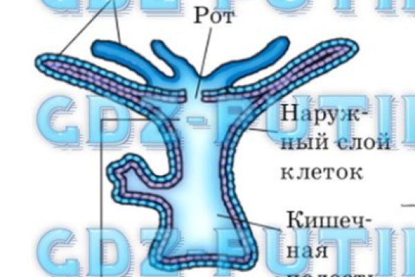 Кракен маркет что