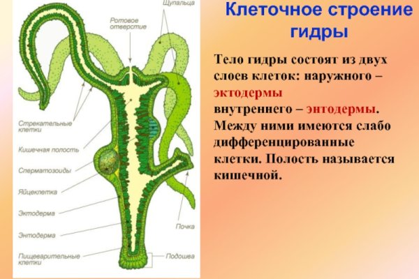 Кракен без впн