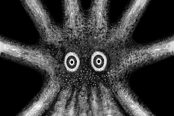 Кракен маркет darknet