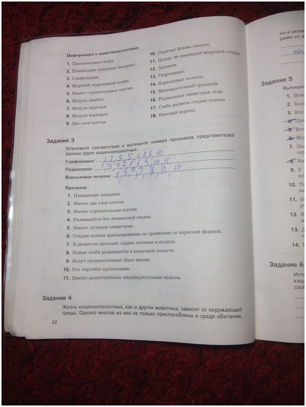 Кракен что можно купить