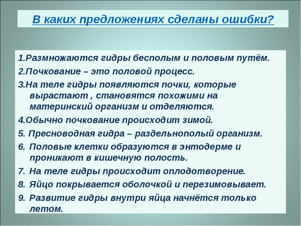 Где брать ссылки на кракен
